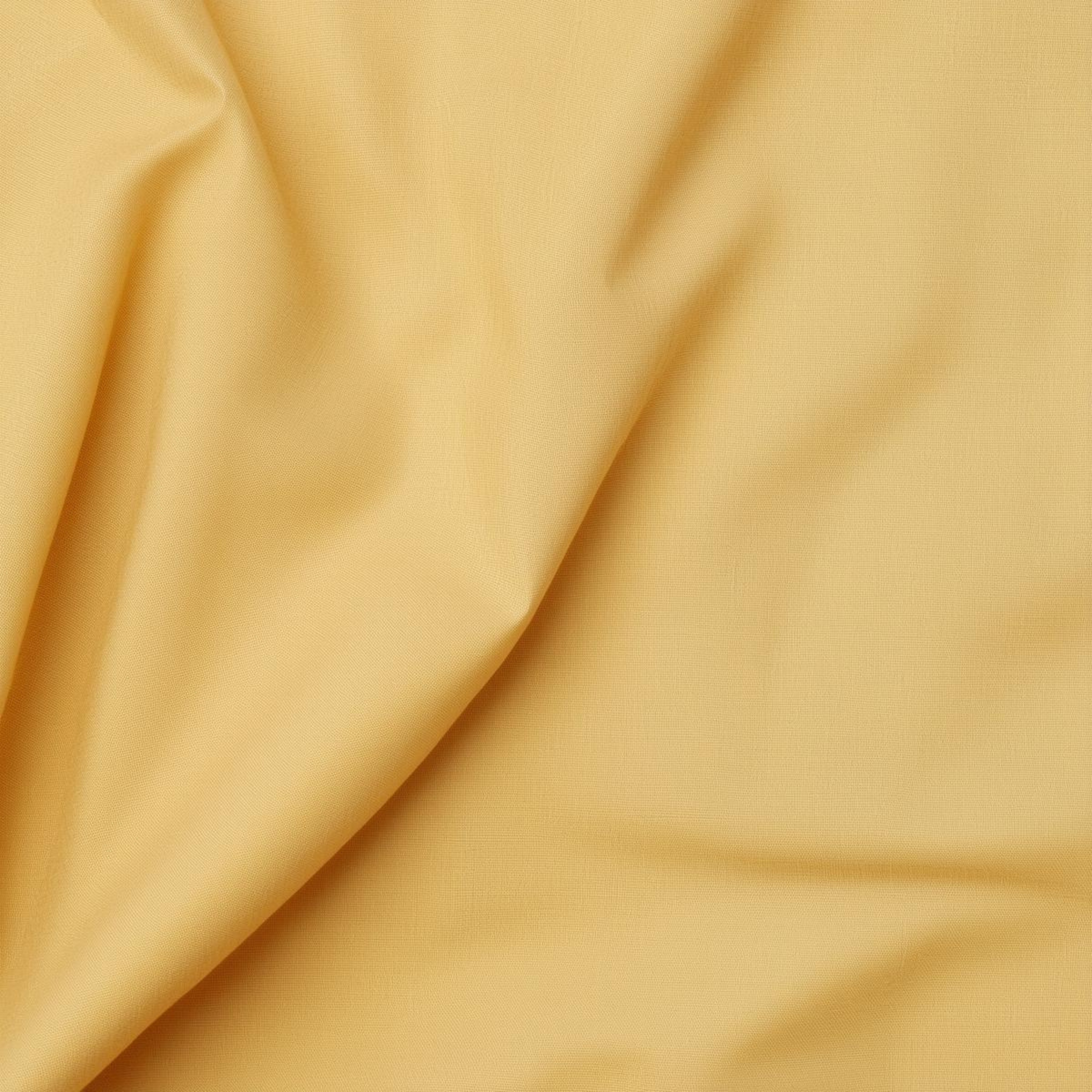 Marigold Beige - Heritage Cotton Karandi Suit